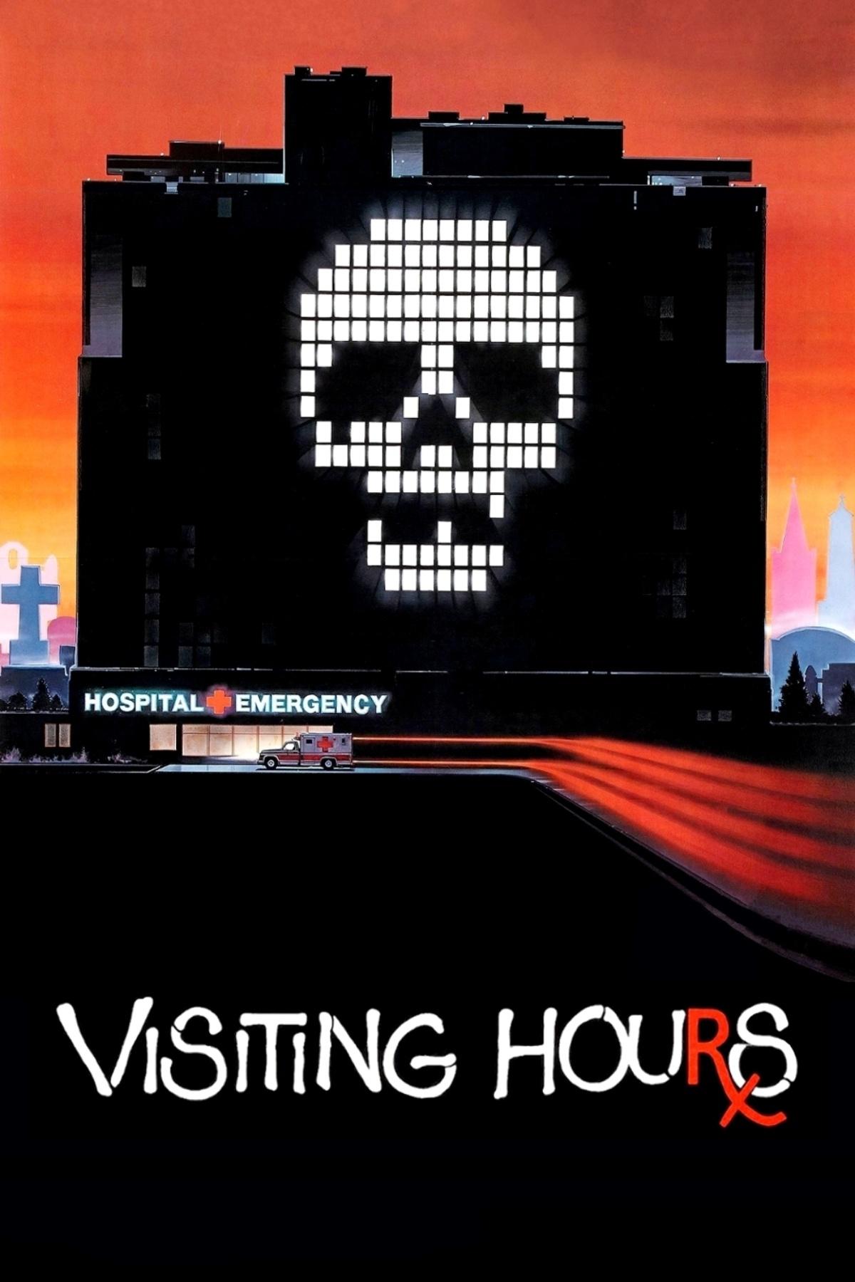 Постер Visiting Hours